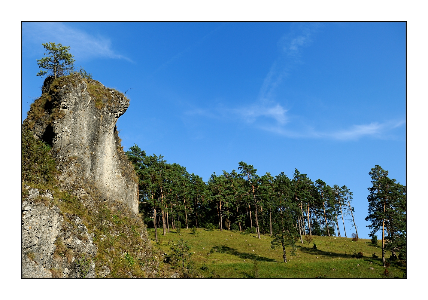 im kleinziegenfelder tal