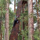 Im Klettergarten von Rättvik/Dalarna