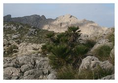 im Klettergebiet Creveta auf Mallorca