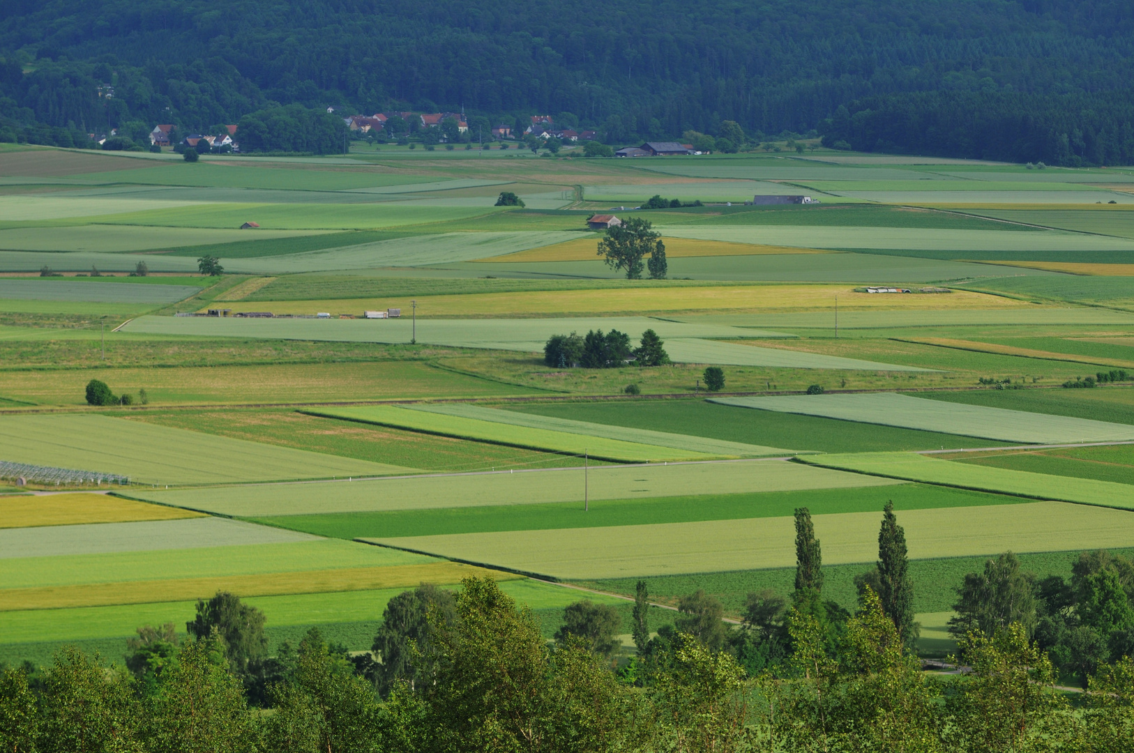 im Klettgau