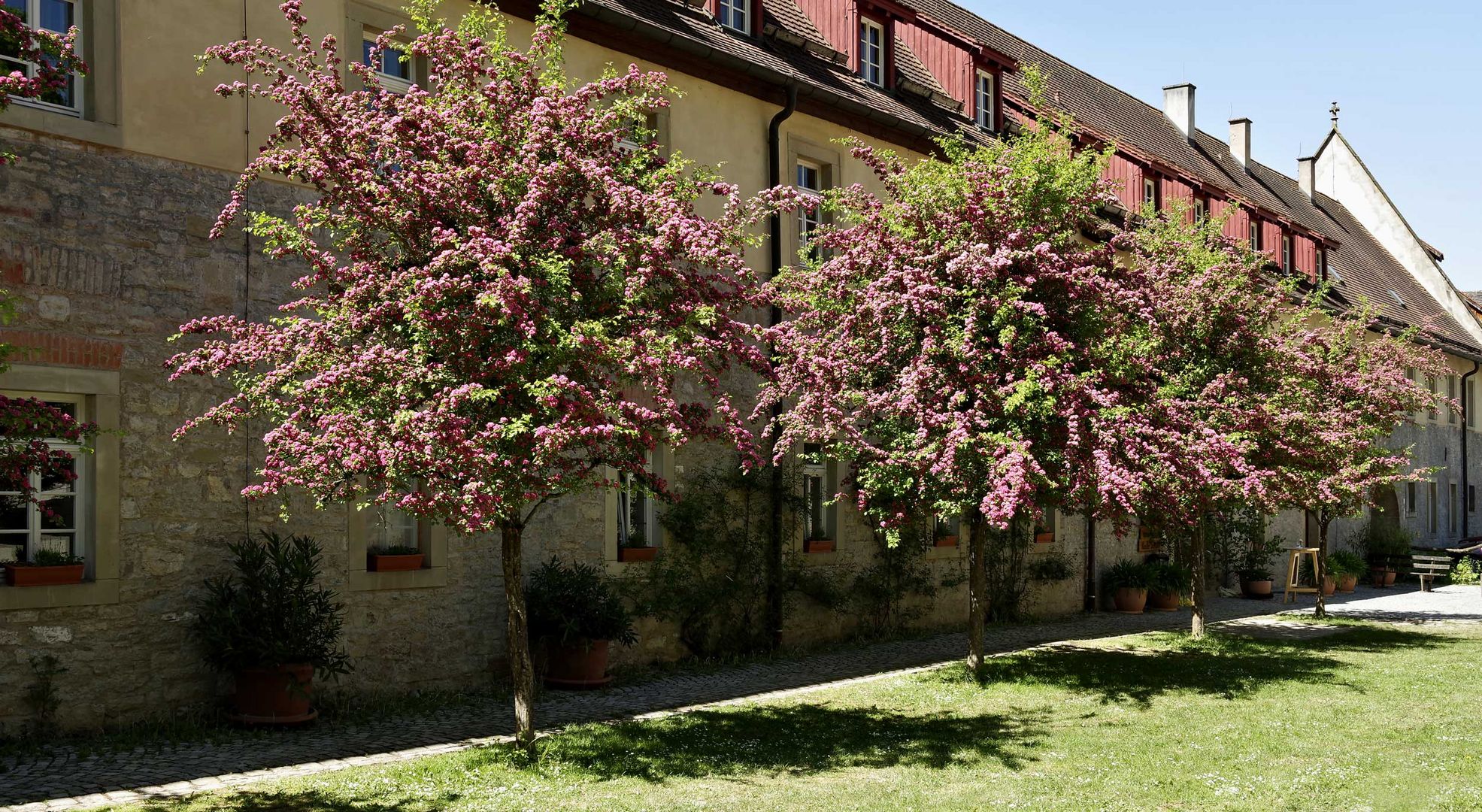 ..im Kloster Schöntal