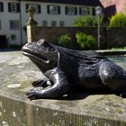 ...im Kloster Schöntal