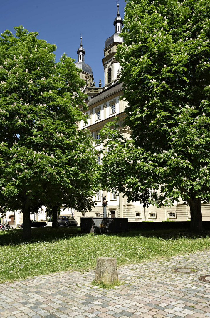 ...im Kloster Schöntal