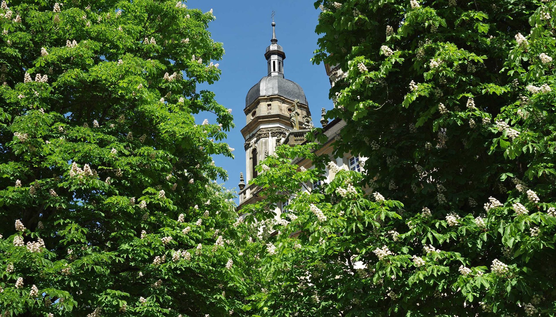 ...im Kloster Schöntal