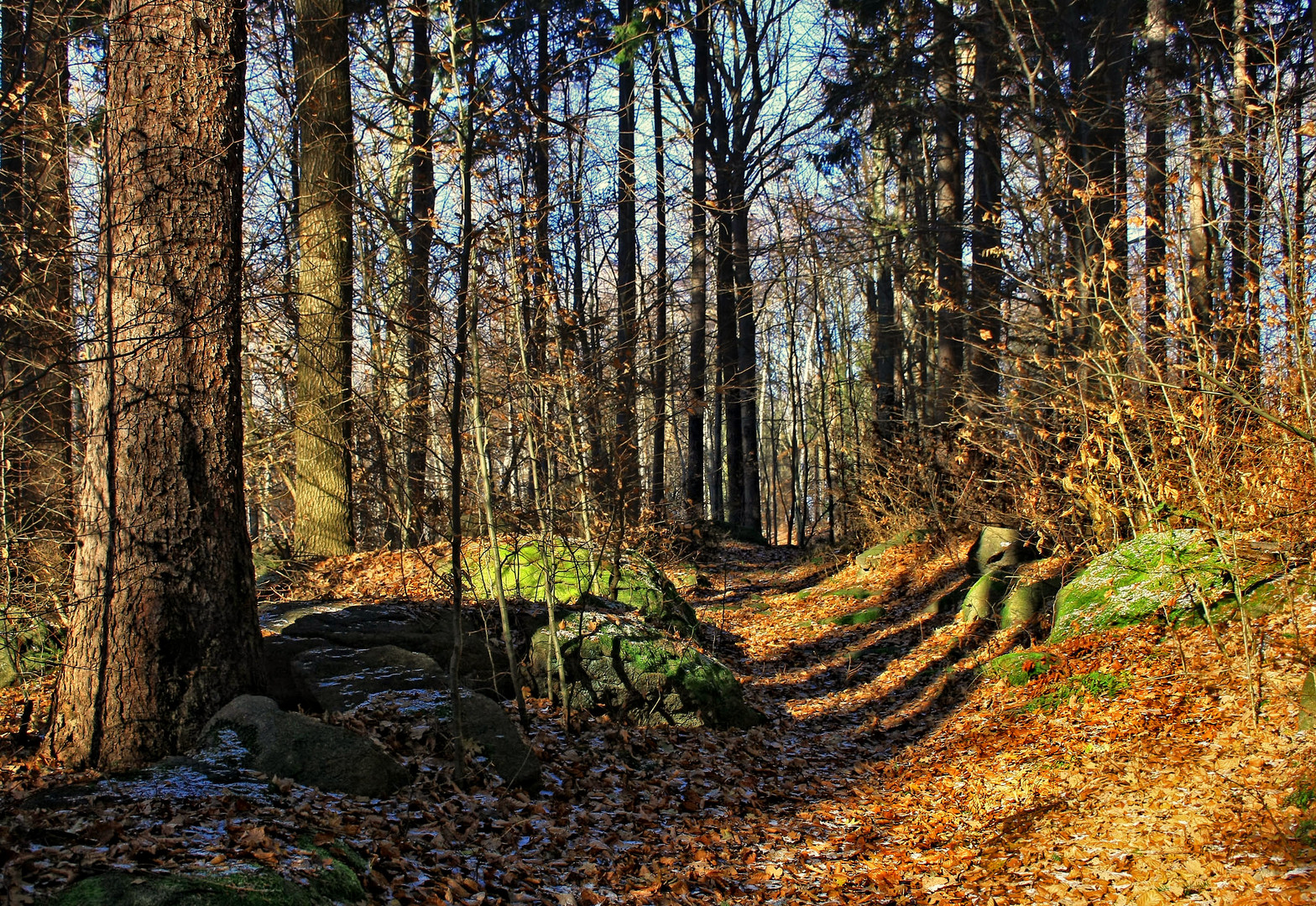 im klosterberggebiet