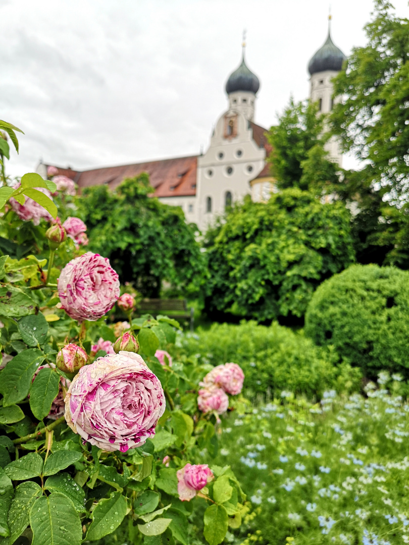 Im Klostergarten