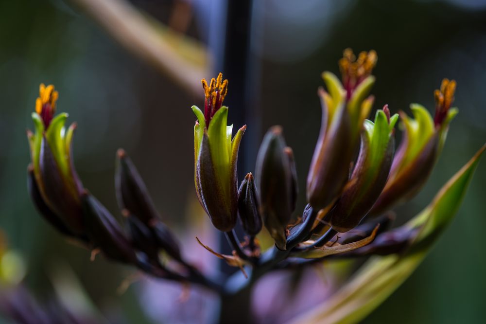 Im Klostergarten