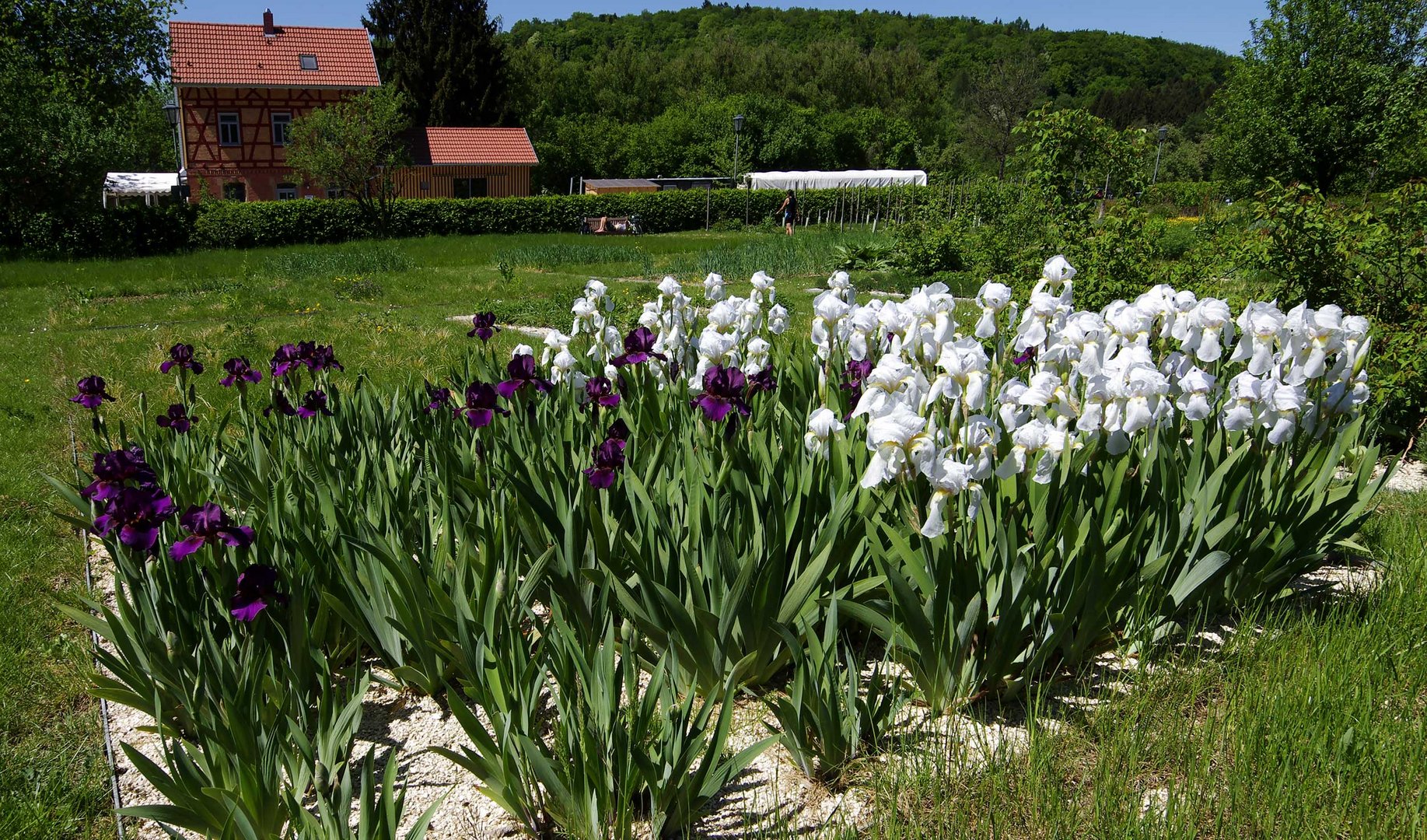 ...im Klostergarten