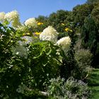 Im Klostergarten 