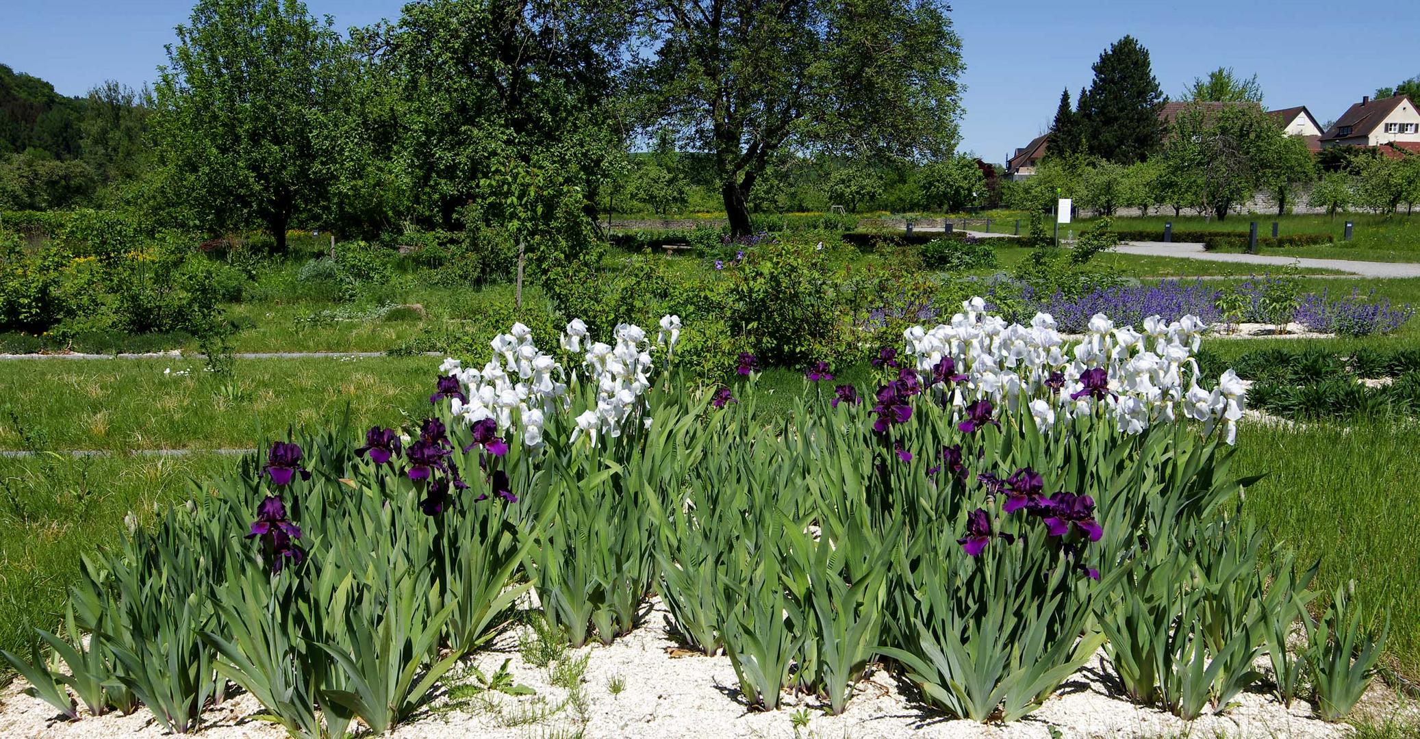 ...im Klostergarten