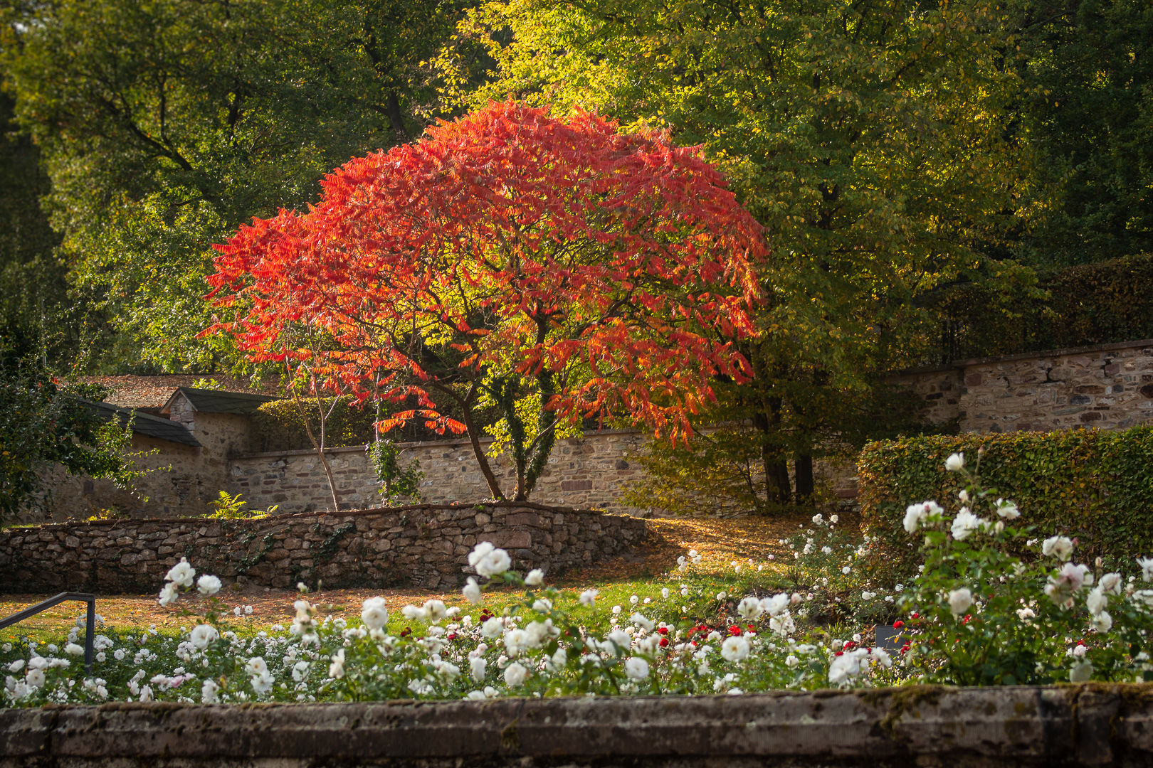 Im Klostergarten