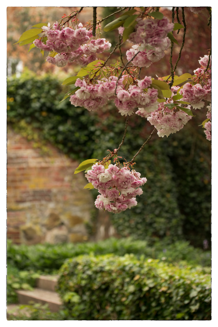 Im Klostergarten