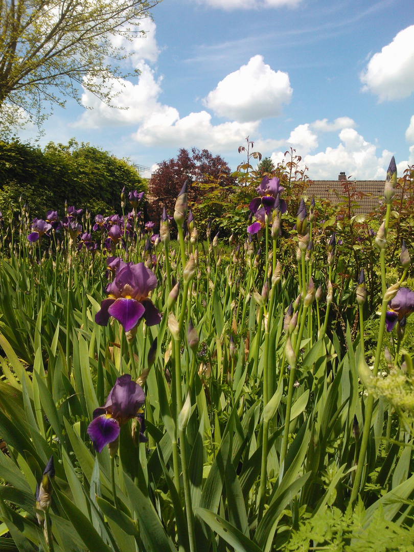 IM KLOSTERGARTEN