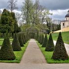 Im Klostergarten Neuzelle...