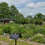 Im Klostergarten von Zella: Pflanzenvielfalt