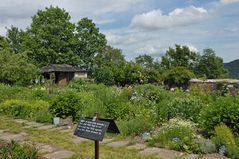 Im Klostergarten von Zella: Pflanzenvielfalt