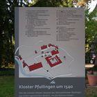 im Klostergarten...6