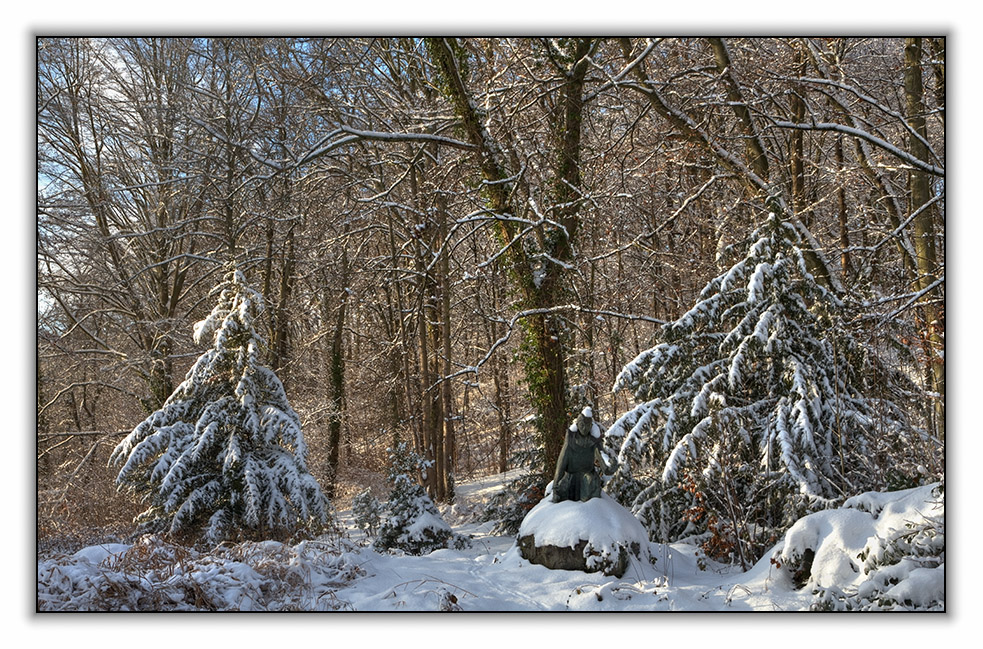 Im Klosterwald