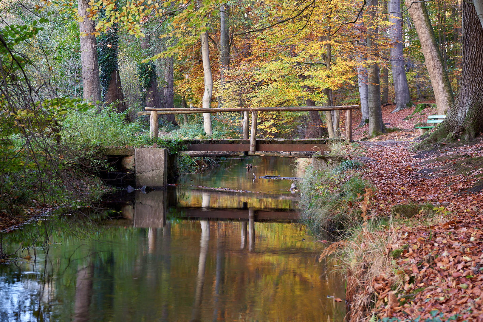 Im Klosterwald