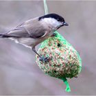 im Knick da hing ein Knödel  .....