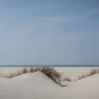 Im Kniepsand auf Amrum