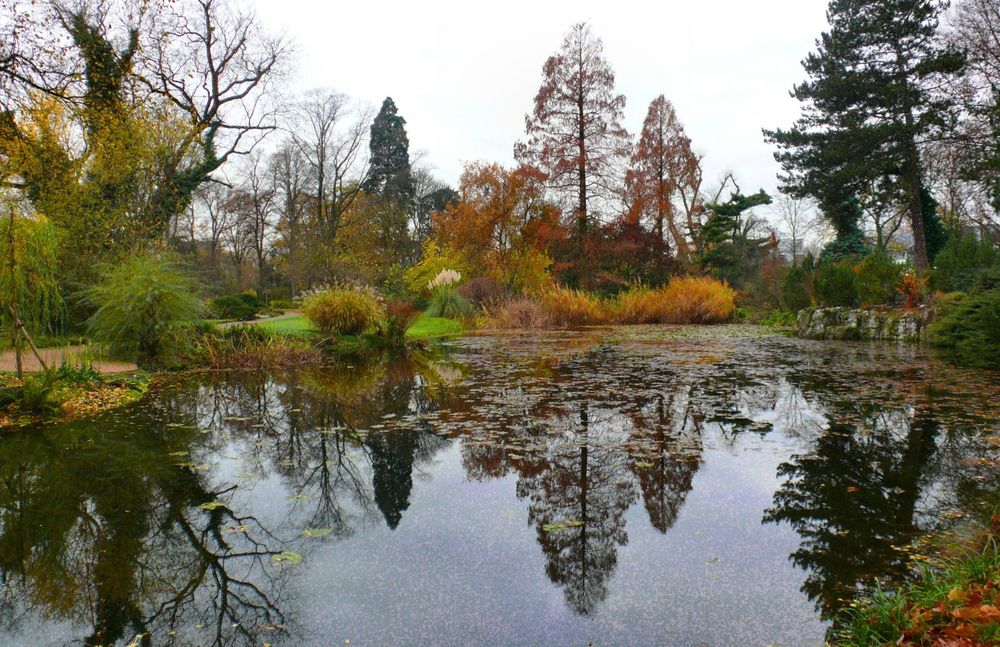 Im Kölner Rheinpark