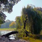 Im Kölner Volksgarten