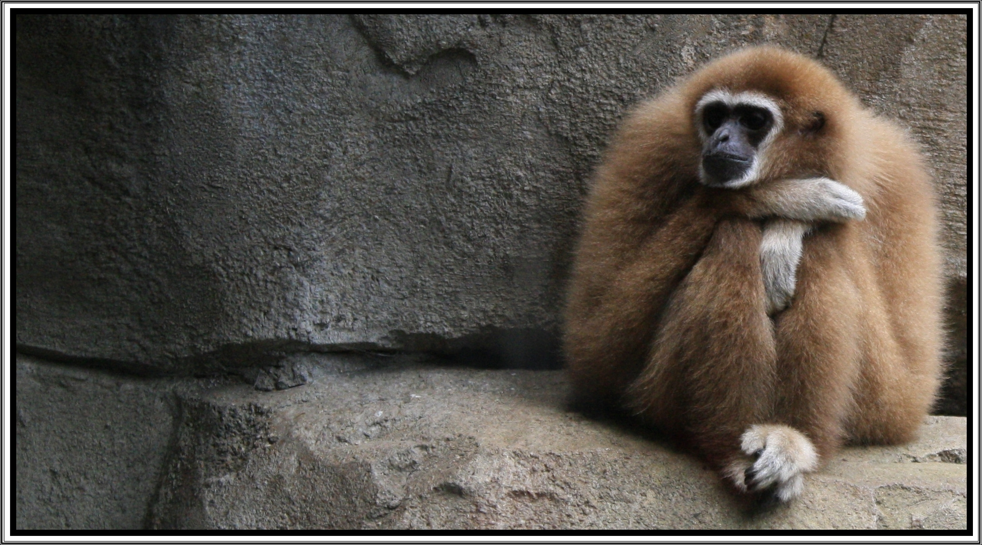 Im Kölner Zoo