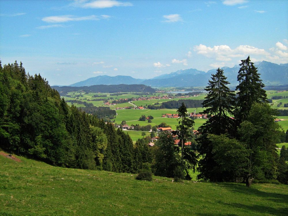 Im Königswinkel / Allgäu