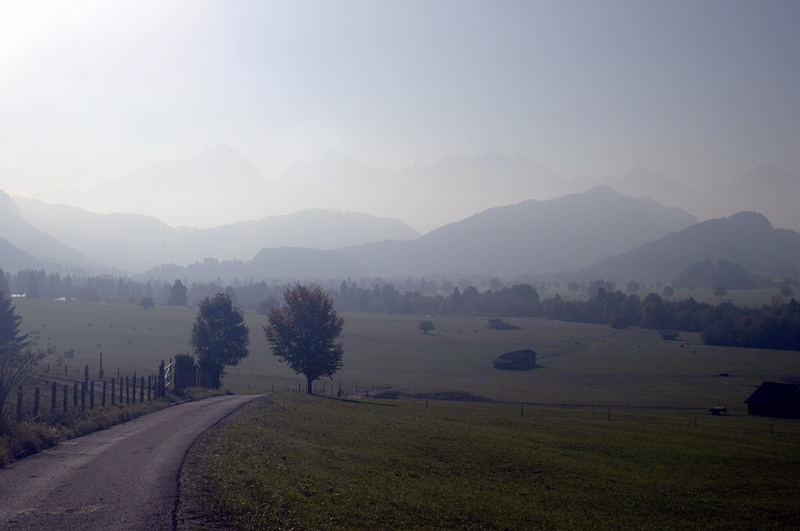 Im Königswinkel (Allgäu)