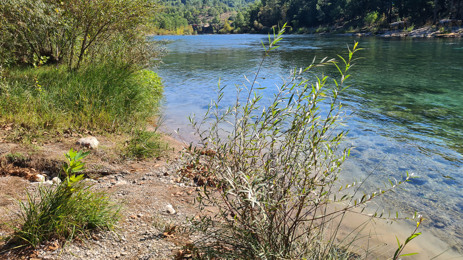 Im Köprülü-Canyon-Nationalpark