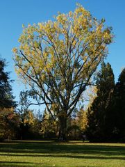 im Konstanzer Stadtpark