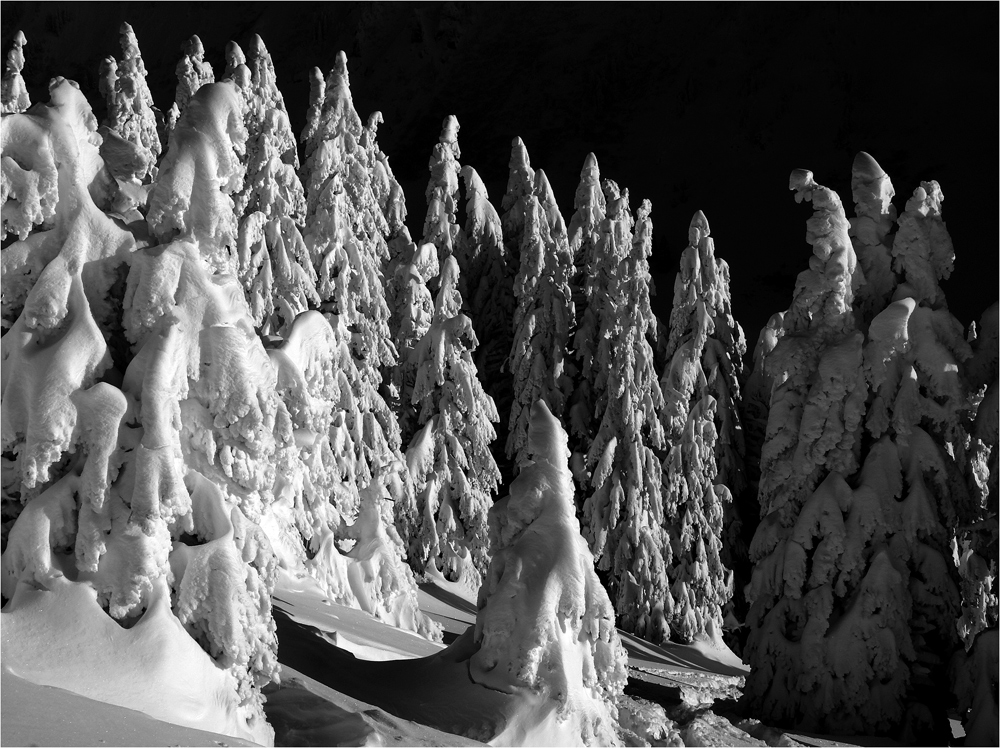 Im kontrastreichen Schwarzweisstannental