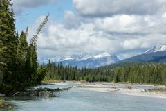 Im Kootenay Nationalpark