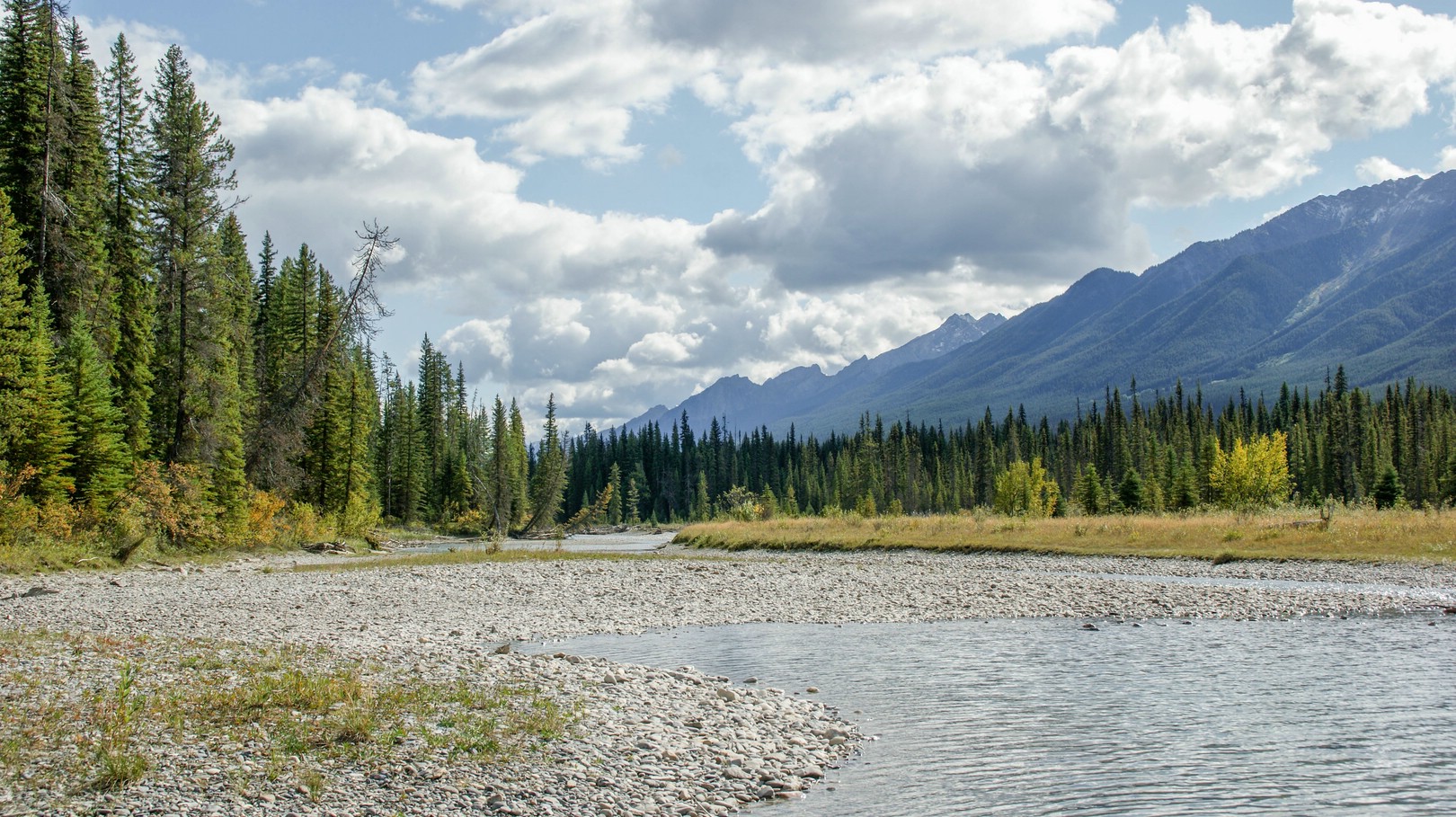 Im Kootenay Nationalpark