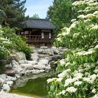Im koreanischen Garten