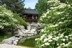 Im koreanischen Garten