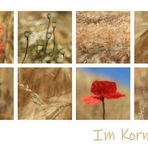 Im Kornfeld II