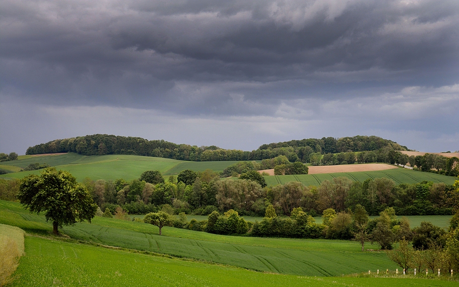 Im Kraichgau