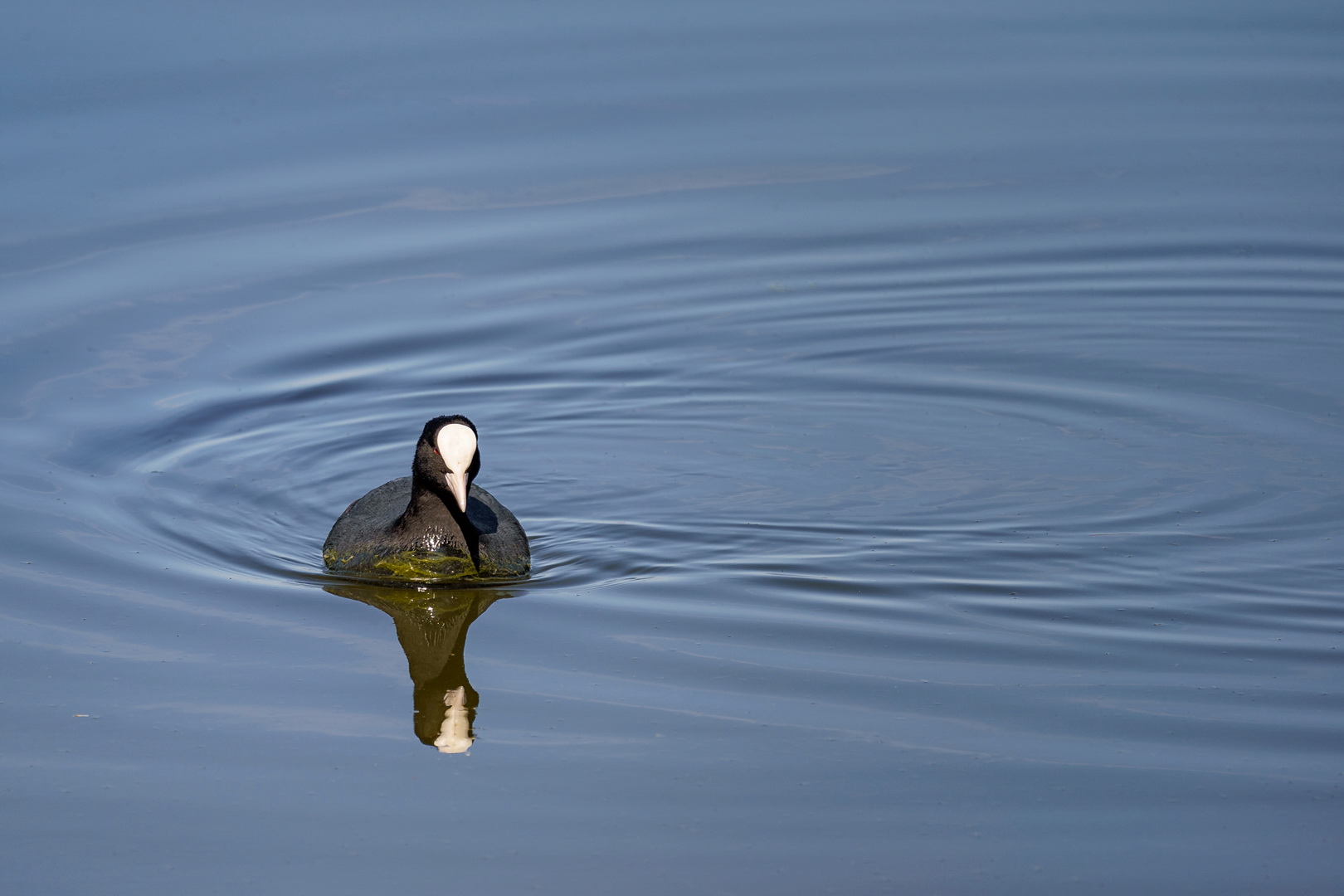 Im Kreis des Wassers