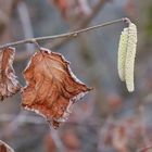 Im Kreislauf der Natur