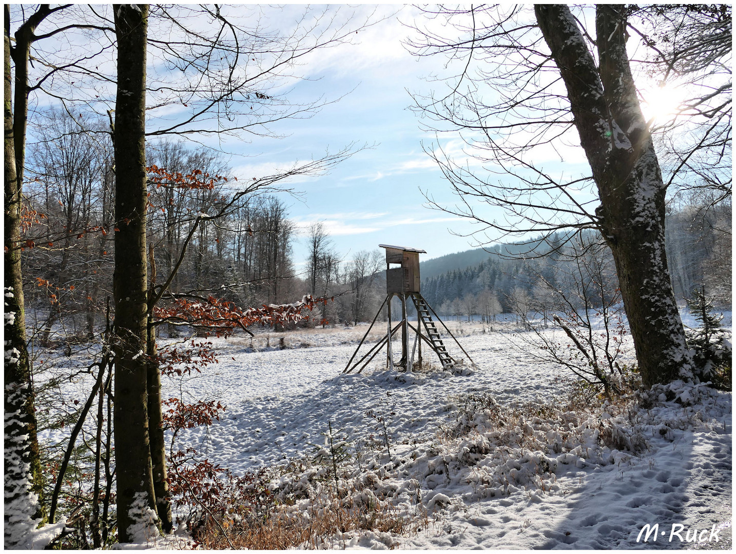 Im Kropfbachtal im Spessart unterwegs 