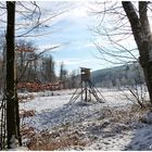 Im Kropfbachtal im Spessart unterwegs 