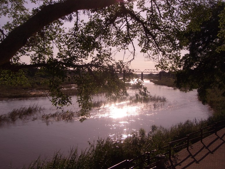 Im Krüger Nationalpark (Südafrika)