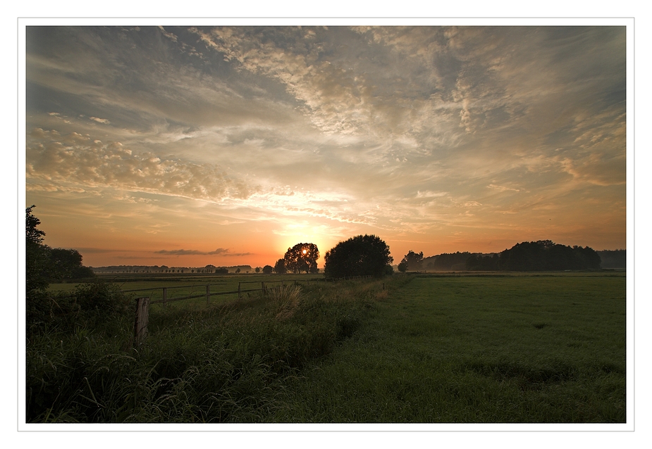 im Krummesser Moor