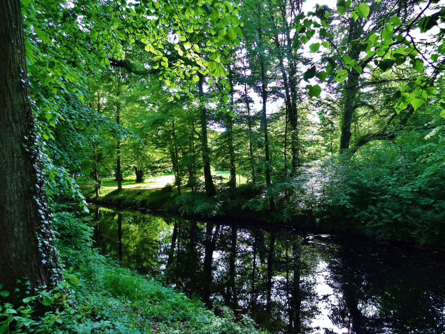 Im kühlen Grunde ...