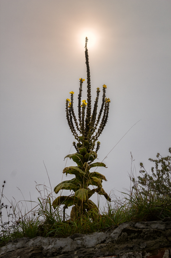 Im kühlen Herbstlicht