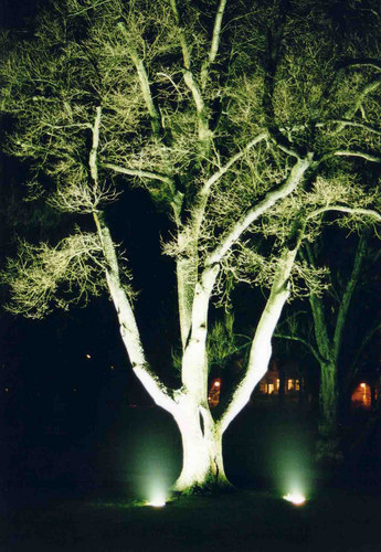 Im Kurpark, 2000