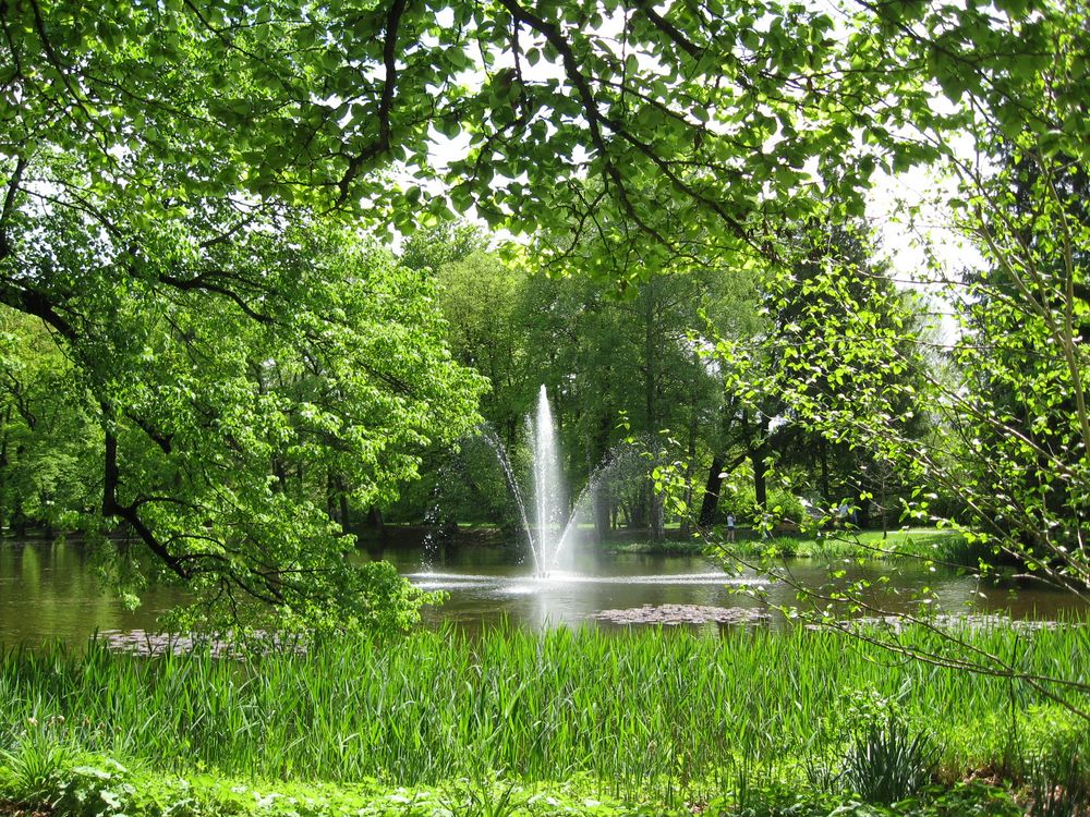 Im Kurpark Bad Aibling Foto & Bild landschaft, garten