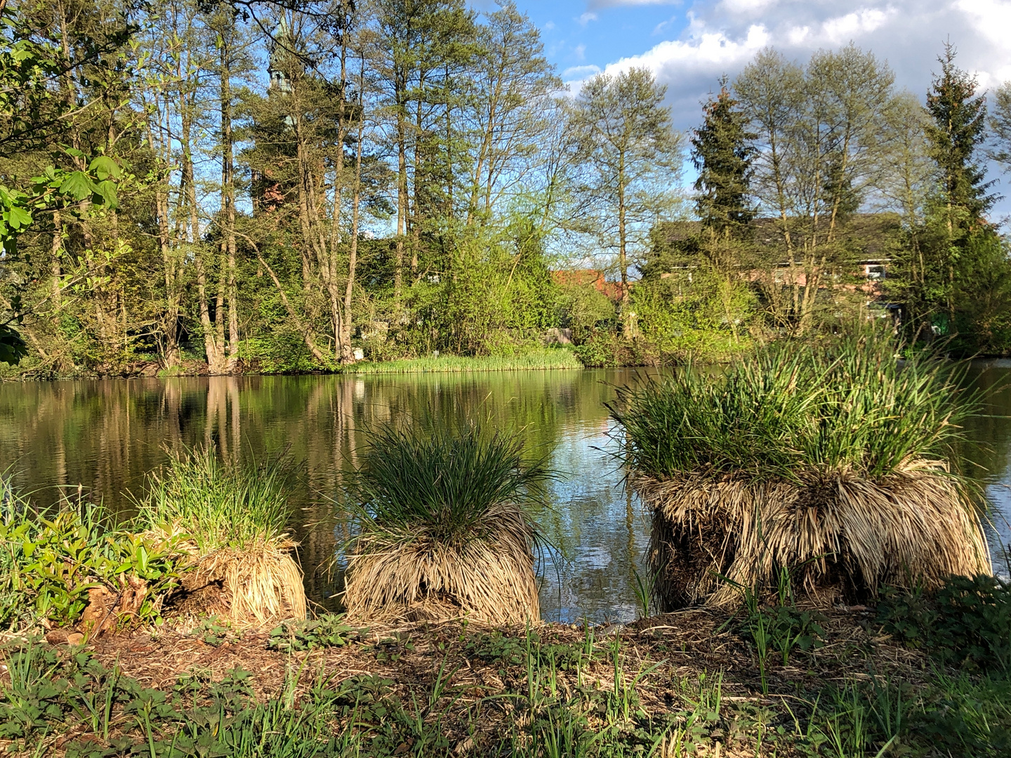 Im Kurpark Bad Bodenteich